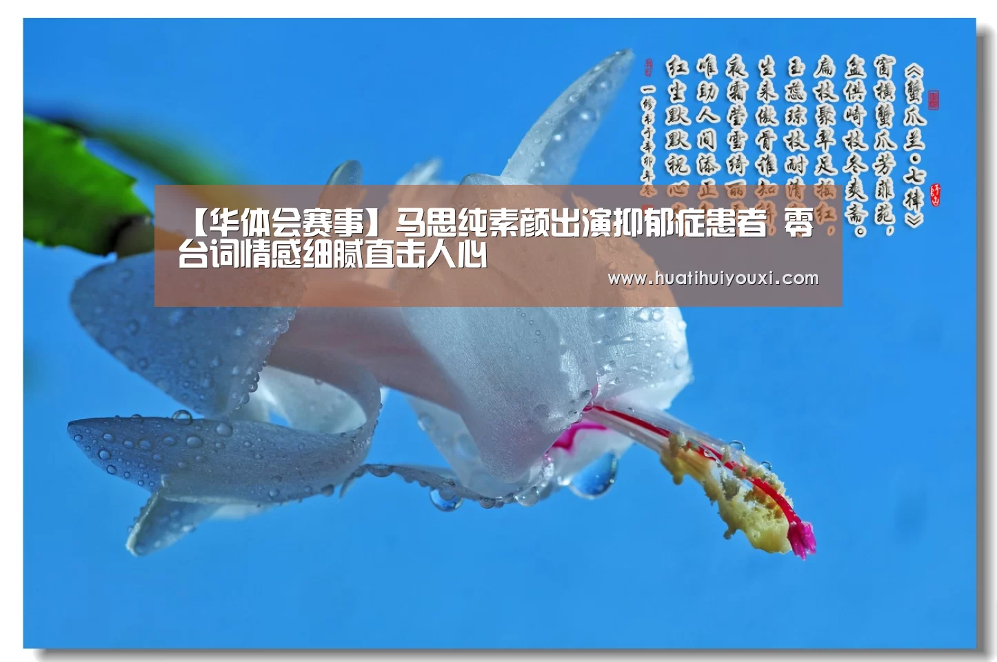 华体会游戏