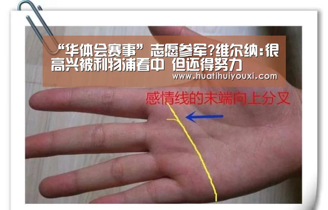 华体会比分