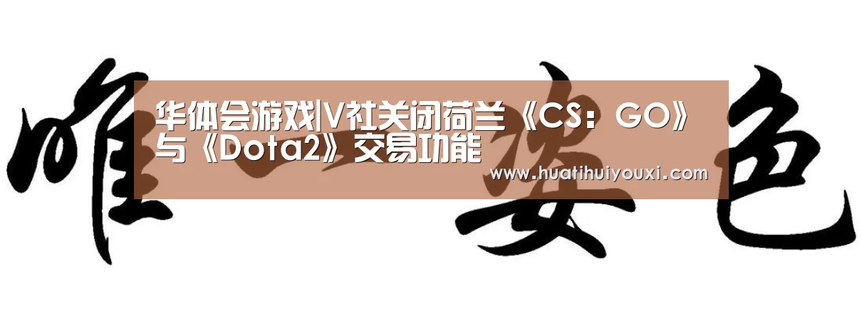 华体会游戏|V社关闭荷兰《CS:GO》与《Dota2》交易功能(图3) 华体会推荐